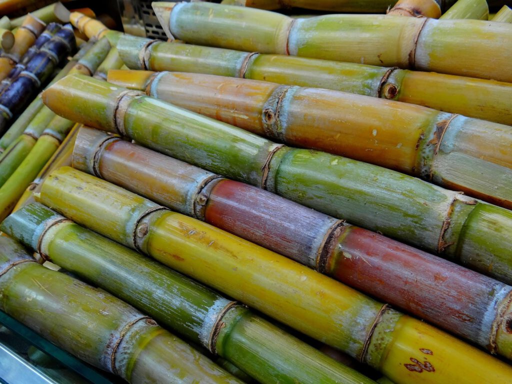 How Long Does Sugarcane Juice last