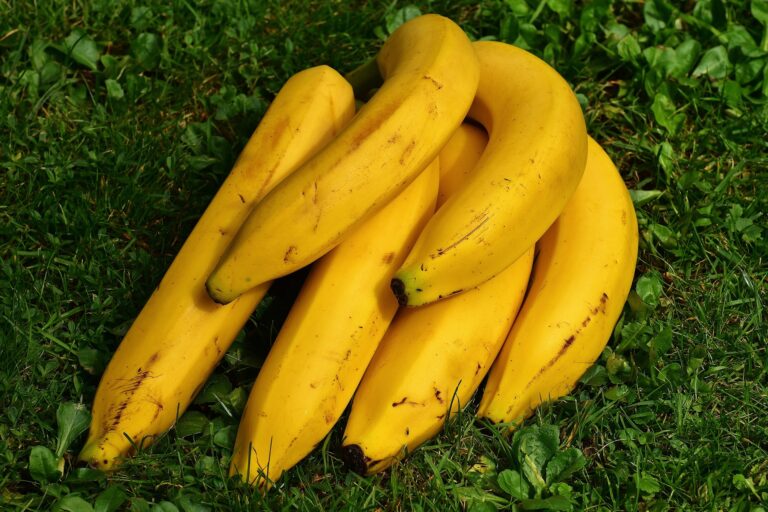 How Long Do Bananas Last At Room Temperature? Storage
