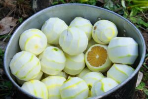 How long do peeled oranges last