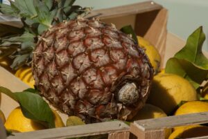 How To Store Pineapples