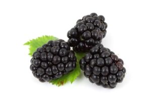 how long do blackberries last in the freezer
