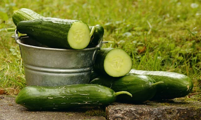 How Long Do Cucumbers Last In The Fridge? Shelf Life ...