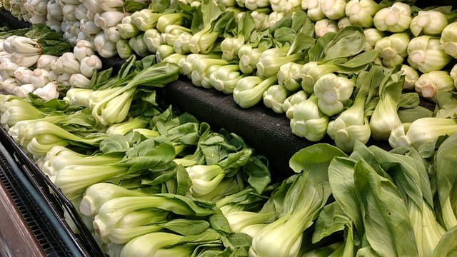 how-long-does-bok-choy-last-in-the-fridge-storage-2023