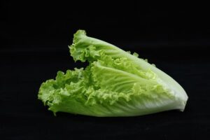 how long does cut romaine lettuce last