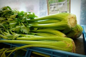 how to store Celery to make it last longer (in the fridge)
