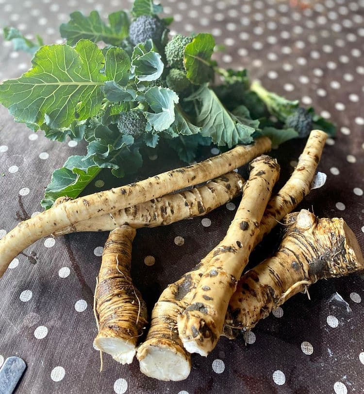 How Long Does Horseradish Last In The Fridge? Storage, Shelf Life, Expiry