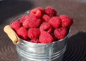 how to store raspberries to last longer (in the fridge)