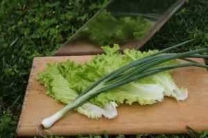 how to store romaine lettuce to last longer (in the fridge)