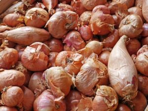 how to store shallots to make them last longer