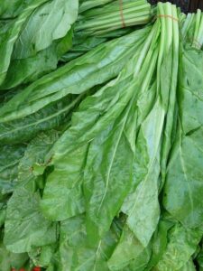 how to store spinach to make it last longer (in the fridge)