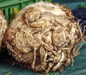 how to tell if Celeriac is bad