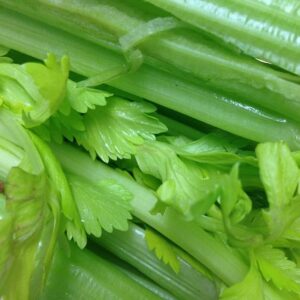 how to tell if Celery is bad