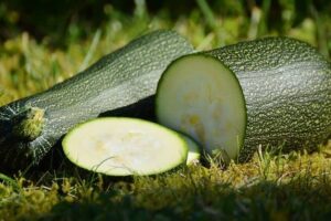 how to tell if Zucchini is bad