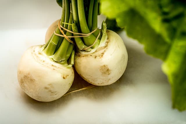 How Long Do Turnips Last in the fridge