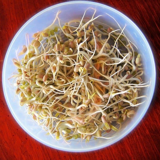 how long do bean sprouts last in the fridge