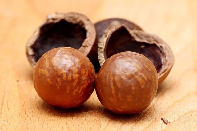 Can You Freeze Macadamia Nuts
