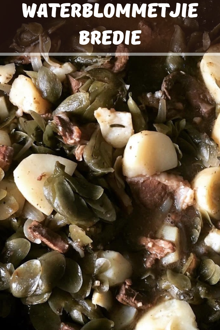 25 Classic South African Dinner Recipes - Justforfruits